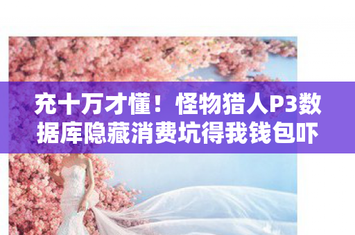 充十万才懂!怪物猎人P3数据库隐藏消费坑得我钱包吓一跳 充十万才懂!怪物猎人P3数据库隐藏消费坑得我钱包吓一跳