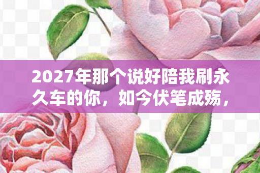 2027年那个说好陪我刷永久车的你，如今伏笔成殇，我鼻子一酸