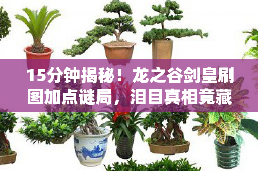 15分钟揭秘!龙之谷剑皇刷图加点谜局,泪目真相竟藏在这串数字里 15分钟揭秘!龙之谷剑皇刷图加点谜局,泪目真相竟藏在这串数字里