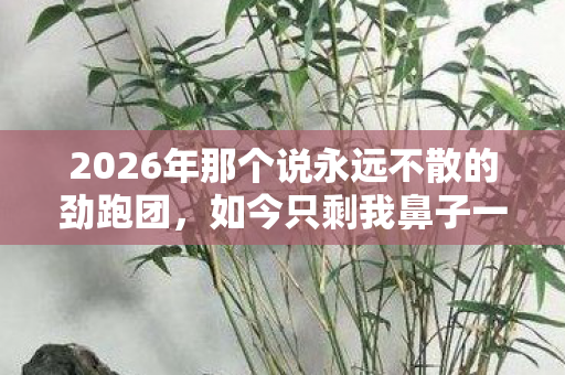2026年那个说永远不散的劲跑团,如今只剩我鼻子一酸翻旧照 2026年那个说永远不散的劲跑团,如今只剩我鼻子一酸翻旧照