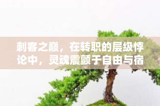 刺客之巅,在转职的层级悖论中,灵魂震颤于自由与宿命的深渊 刺客之巅,在转职的层级悖论中,灵魂震颤于自由与宿命的深渊