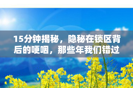 15分钟揭秘,隐秘在锁区背后的哽咽,那些年我们错过的游戏时光 15分钟揭秘,隐秘在锁区背后的哽咽,那些年我们错过的游戏时光