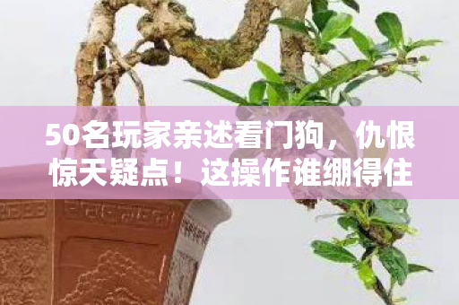 50名玩家亲述看门狗,仇恨惊天疑点!这操作谁绷得住啊? 50名玩家亲述看门狗,仇恨惊天疑点!这操作谁绷得住啊?