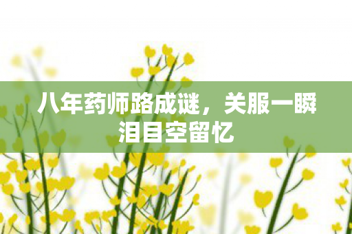 八年药师路成谜,关服一瞬泪目空留忆 八年药师路成谜,关服一瞬泪目空留忆