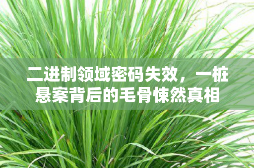 二进制领域密码失效,一桩悬案背后的毛骨悚然真相 二进制领域密码失效,一桩悬案背后的毛骨悚然真相