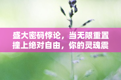 盛大密码悖论,当无限重置撞上绝对自由,你的灵魂震颤了吗? 盛大密码悖论,当无限重置撞上绝对自由,你的灵魂震颤了吗?