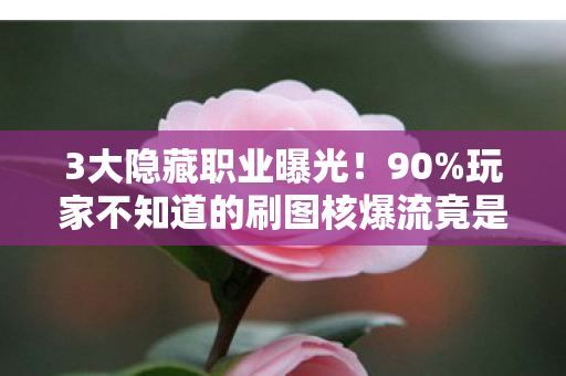 3大隐藏职业曝光!90%玩家不知道的刷图核爆流竟是它? 3大隐藏职业曝光!90%玩家不知道的刷图核爆流竟是它?