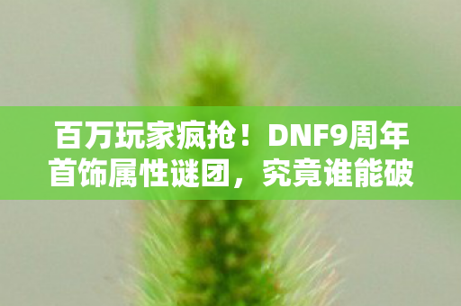 百万玩家疯抢！DNF9周年首饰属性谜团，究竟谁能破防？