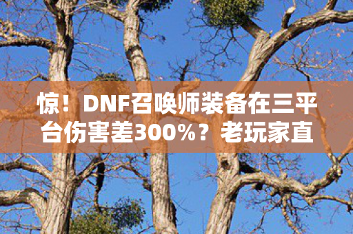 惊！DNF召唤师装备在三平台伤害差300%？老玩家直呼离谱！