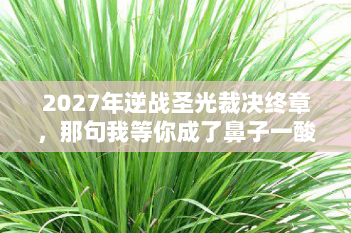 2027年逆战圣光裁决终章,那句我等你成了鼻子一酸的伏笔 2027年逆战圣光裁决终章,那句我等你成了鼻子一酸的伏笔