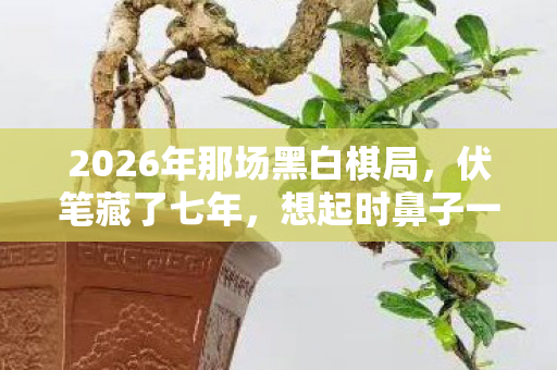 2026年那场黑白棋局，伏笔藏了七年，想起时鼻子一酸