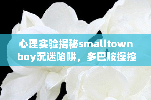 心理实验揭秘smalltown boy沉迷陷阱，多巴胺操控下的细思极恐循环