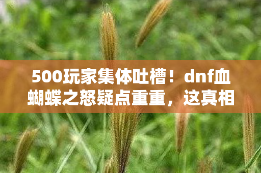 500玩家集体吐槽!dnf血蝴蝶之怒疑点重重,这真相让人绷不住! 500玩家集体吐槽!dnf血蝴蝶之怒疑点重重,这真相让人绷不住!