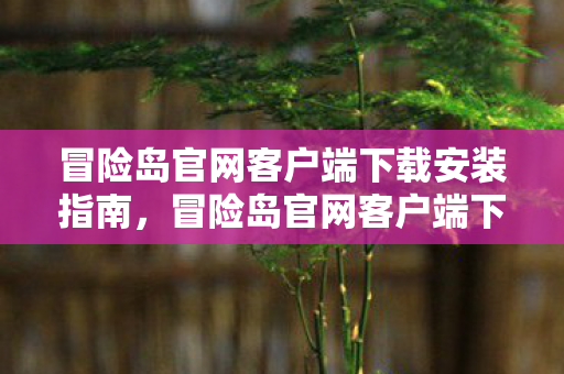 冒险岛官网客户端下载安装全攻略图片