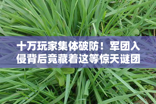 十万玩家集体破防!军团入侵背后竟藏着这等惊天谜团? 十万玩家集体破防!军团入侵背后竟藏着这等惊天谜团?