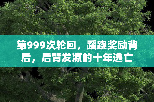 第999次轮回,蹊跷奖励背后,后背发凉的十年逃亡 第999次轮回,蹊跷奖励背后,后背发凉的十年逃亡
