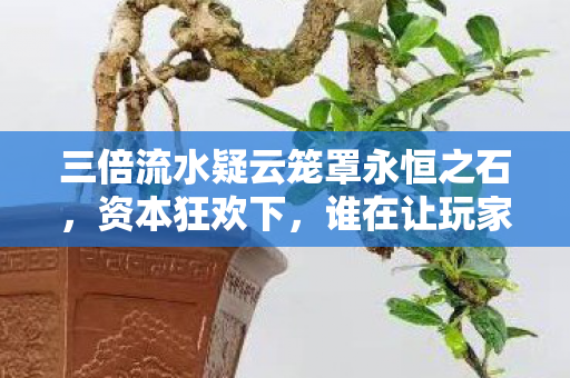 三倍流水疑云笼罩永恒之石，资本狂欢下，谁在让玩家心寒？
