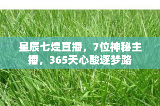 星辰七煌直播，7位神秘主播，365天心酸逐梦路