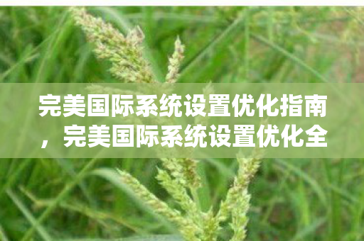 完美国际系统设置优化指南,完美国际系统设置优化全攻略 完美国际系统设置优化指南,完美国际系统设置优化全攻略