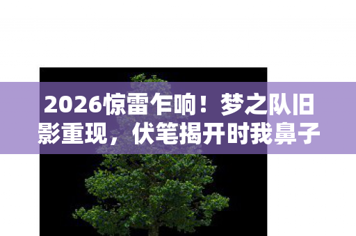 2026惊雷乍响!梦之队旧影重现,伏笔揭开时我鼻子一酸 2026惊雷乍响!梦之队旧影重现,伏笔揭开时我鼻子一酸