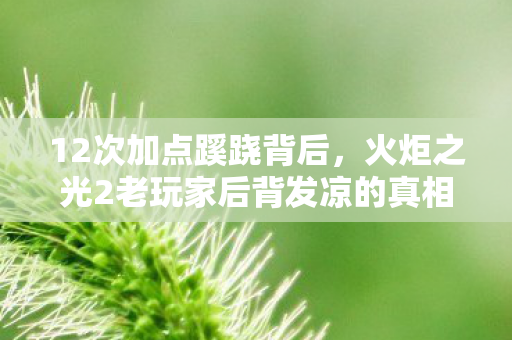 12次加点蹊跷背后,火炬之光2老玩家后背发凉的真相 12次加点蹊跷背后,火炬之光2老玩家后背发凉的真相