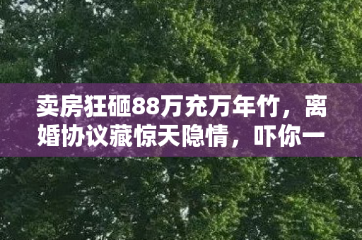 卖房狂砸88万充万年竹,离婚协议藏惊天隐情,吓你一跳! 卖房狂砸88万充万年竹,离婚协议藏惊天隐情,吓你一跳!