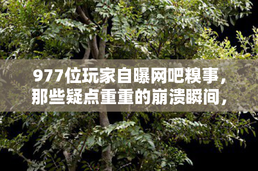 977位玩家自曝网吧糗事,那些疑点重重的崩溃瞬间,我绷不住了! 977位玩家自曝网吧糗事,那些疑点重重的崩溃瞬间,我绷不住了!