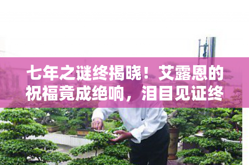 七年之谜终揭晓！艾露恩的祝福竟成绝响，泪目见证终章