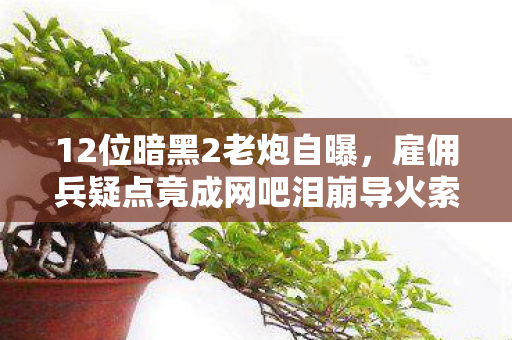 12位暗黑2老炮自曝，雇佣兵疑点竟成网吧泪崩导火索，这次真绷不住了！