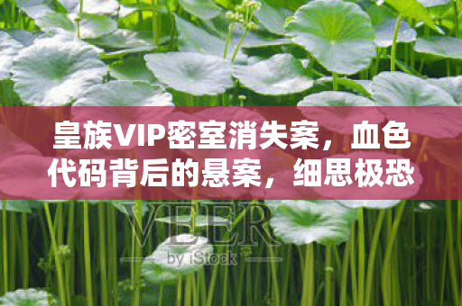 皇族VIP密室消失案，血色代码背后的悬案，细思极恐！
