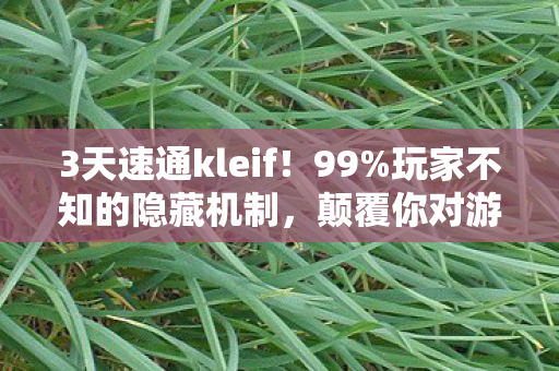 3天速通kleif！99%玩家不知的隐藏机制，颠覆你对游戏的认知！
