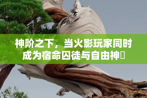 神阶之下,当火影玩家同时成为宿命囚徒与自由神祇 神阶之下,当火影玩家同时成为宿命囚徒与自由神祇