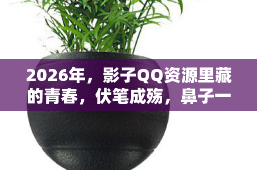 2026年,影子QQ资源里藏的青春,伏笔成殇,鼻子一酸谁懂啊 2026年,影子QQ资源里藏的青春,伏笔成殇,鼻子一酸谁懂啊