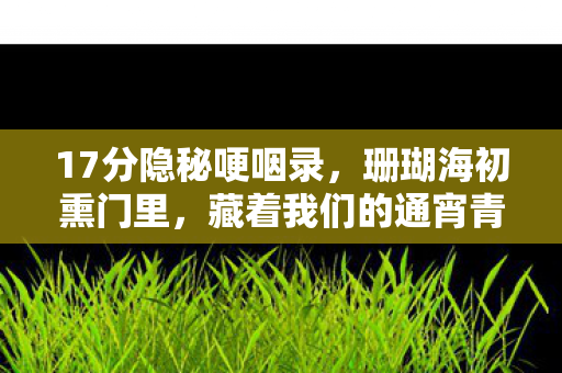 17分隐秘哽咽录,珊瑚海初熏门里,藏着我们的通宵青春 17分隐秘哽咽录,珊瑚海初熏门里,藏着我们的通宵青春