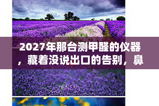 2027年那台测甲醛的仪器,藏着没说出口的告别,鼻子一酸才懂 2027年那台测甲醛的仪器,藏着没说出口的告别,鼻子一酸才懂