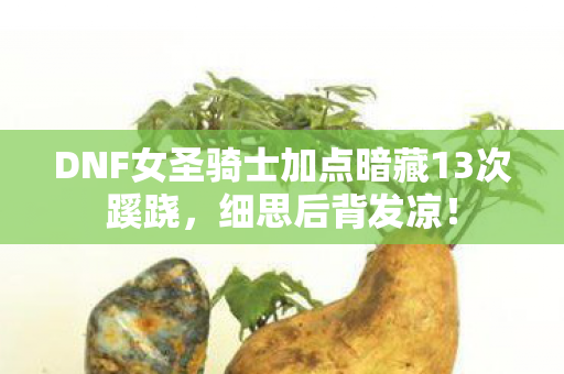 DNF女圣骑士加点暗藏13次蹊跷，细思后背发凉！