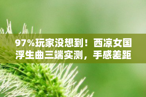 97%玩家没想到！西凉女国浮生曲三端实测，手感差距竟差出10个次元？