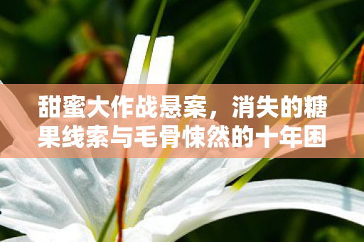 甜蜜大作战悬案,消失的糖果线索与毛骨悚然的十年困局 甜蜜大作战悬案,消失的糖果线索与毛骨悚然的十年困局