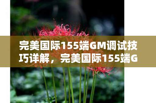 完美国际155端GM调试技巧详解，完美国际155端GM调试技巧全解析