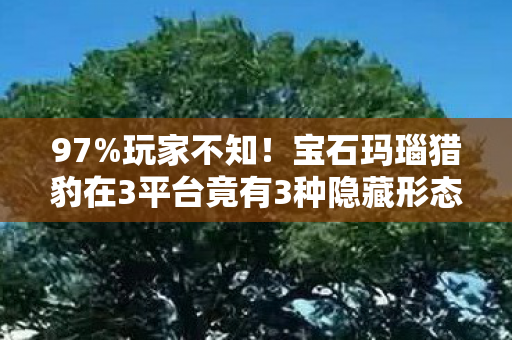 97%玩家不知!宝石玛瑙猎豹在3平台竟有3种隐藏形态 97%玩家不知!宝石玛瑙猎豹在3平台竟有3种隐藏形态