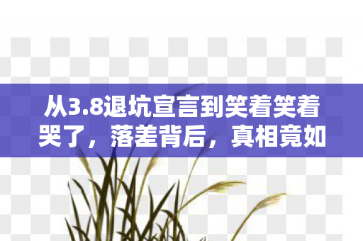 从3.8退坑宣言到笑着笑着哭了，落差背后，真相竟如此扎心