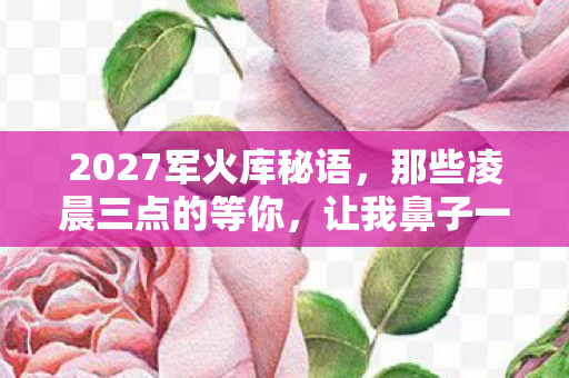 2027军火库秘语,那些凌晨三点的等你,让我鼻子一酸 2027军火库秘语,那些凌晨三点的等你,让我鼻子一酸