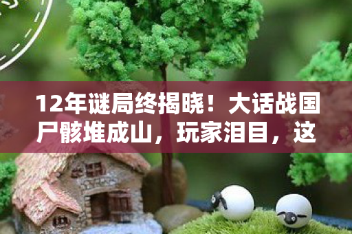 12年谜局终揭晓!大话战国尸骸堆成山,玩家泪目,这竟是最后遗书? 12年谜局终揭晓!大话战国尸骸堆成山,玩家泪目,这竟是最后遗书?