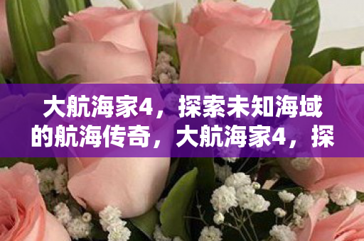 大航海家4，探索未知海域的航海传奇，大航海家4，探索未知海域的航海传奇