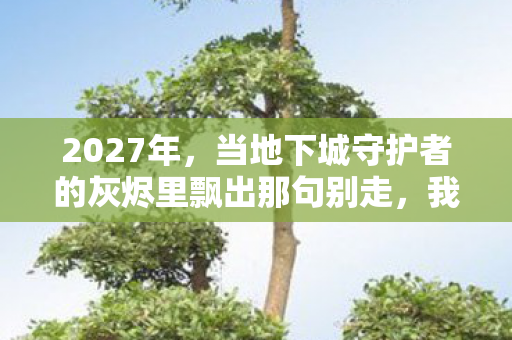 2027年,当地下城守护者的灰烬里飘出那句别走,我鼻子一酸 2027年,当地下城守护者的灰烬里飘出那句别走,我鼻子一酸
