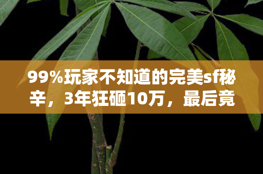 99%玩家不知道的完美sf秘辛,3年狂砸10万,最后竟为它删号退游? 99%玩家不知道的完美sf秘辛,3年狂砸10万,最后竟为它删号退游?