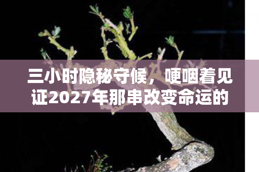 三小时隐秘守候，哽咽着见证2027年那串改变命运的数字