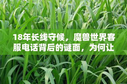 18年长线守候,魔兽世界客服电话背后的谜面,为何让玩家泪目? 18年长线守候,魔兽世界客服电话背后的谜面,为何让玩家泪目?