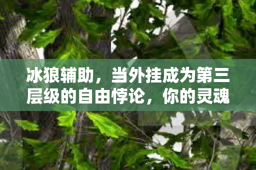 冰狼辅助，当外挂成为第三层级的自由悖论，你的灵魂震颤了吗？