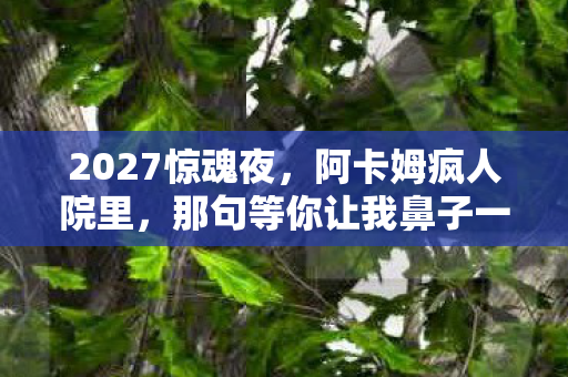 2027惊魂夜,阿卡姆疯人院里,那句等你让我鼻子一酸 2027惊魂夜,阿卡姆疯人院里,那句等你让我鼻子一酸